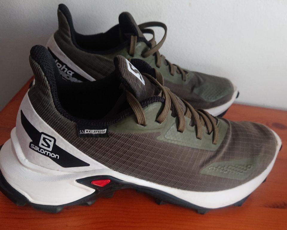 Salomon alpha cross waterproof