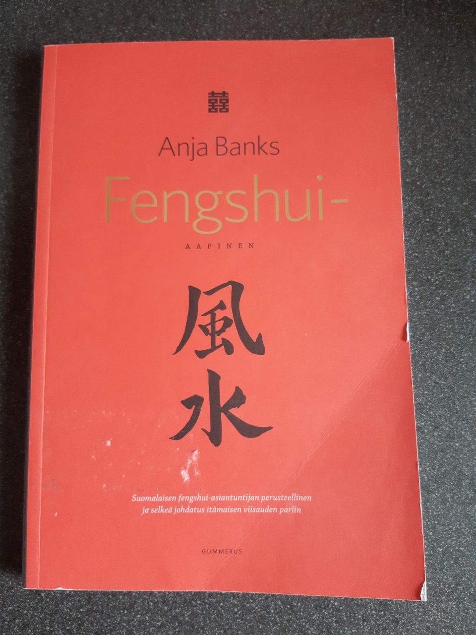 Anja Banks: Fengshui-aapinen