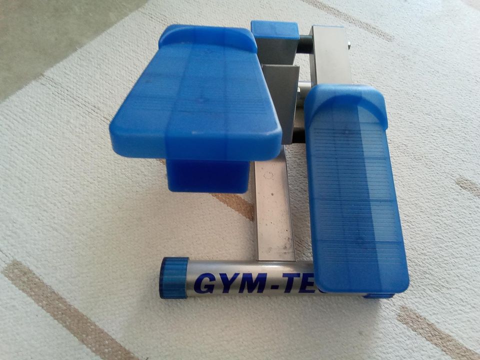 Gym Tech mini stepper