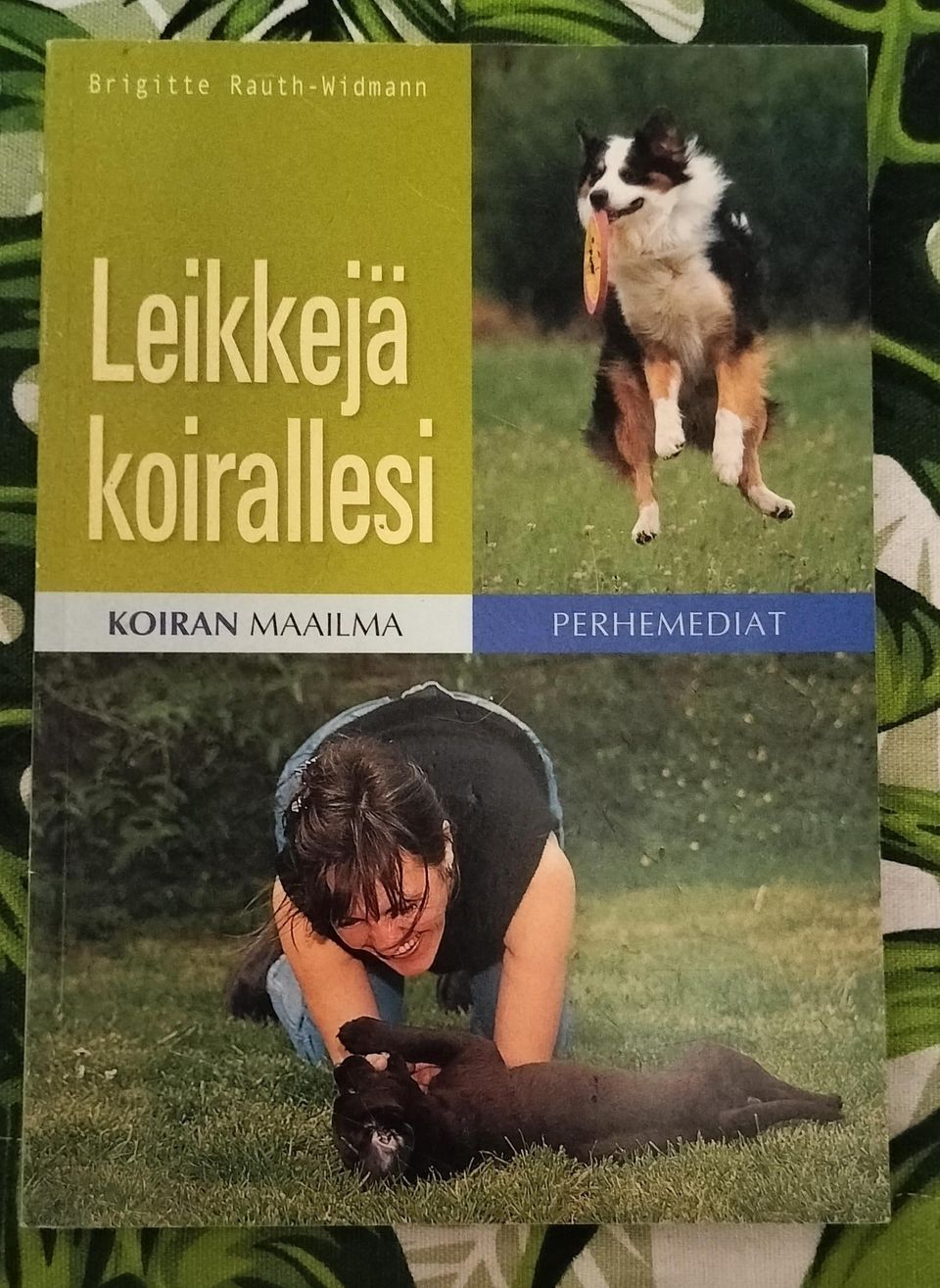 Leikkejä koirallesi kirja