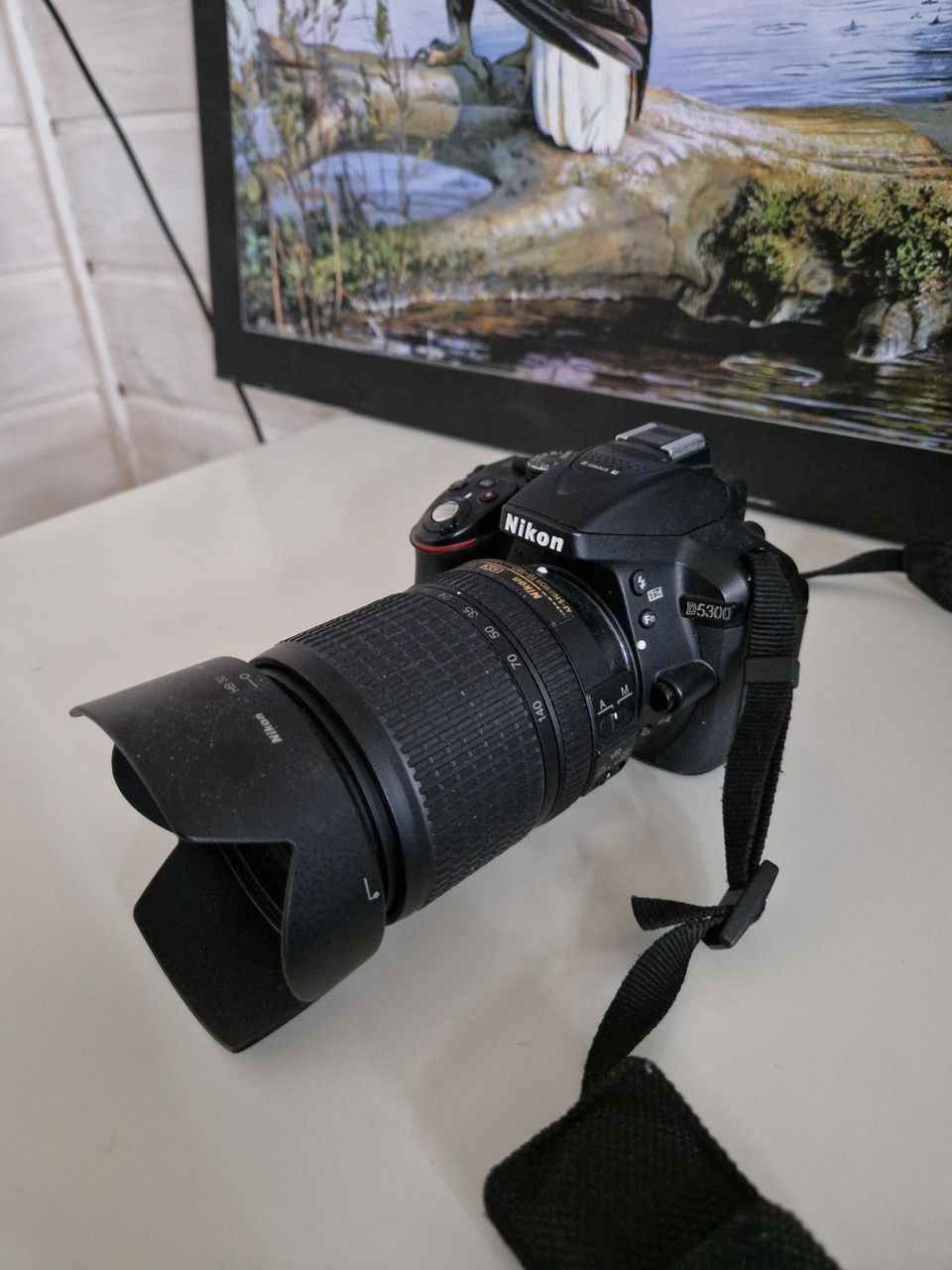 Nikon D5300