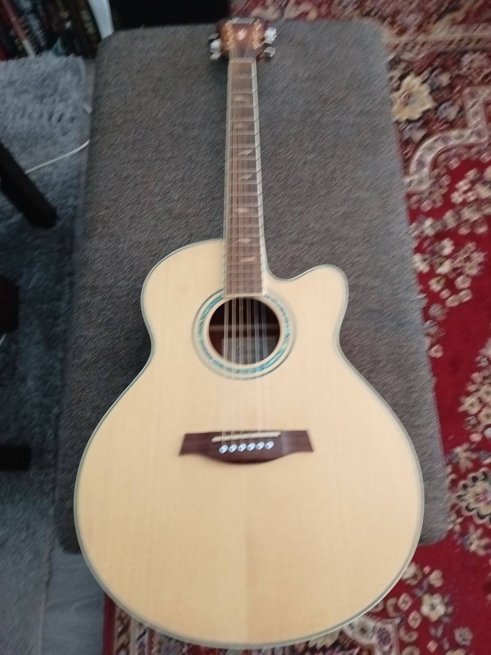 Ibanez ael 40servlv1201