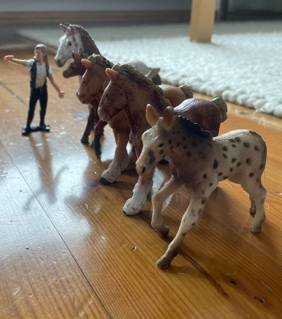 Schleich heppoja, Nummela