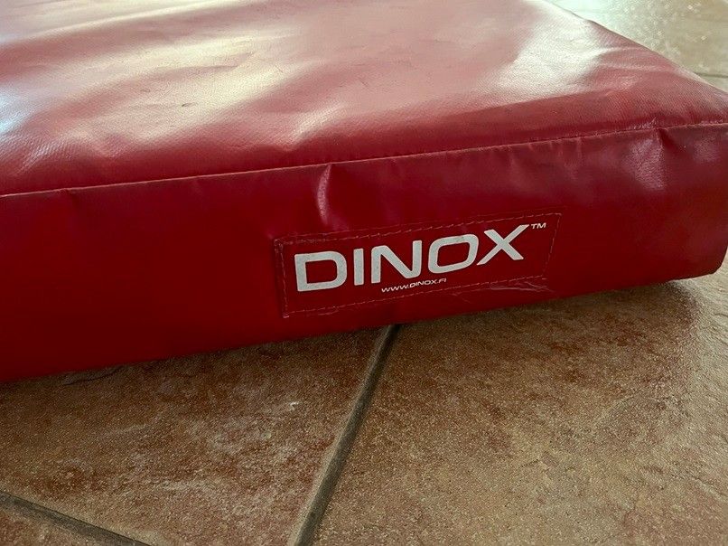 Dinox Alastulopatja / trampoliinipatja 140x140x10
