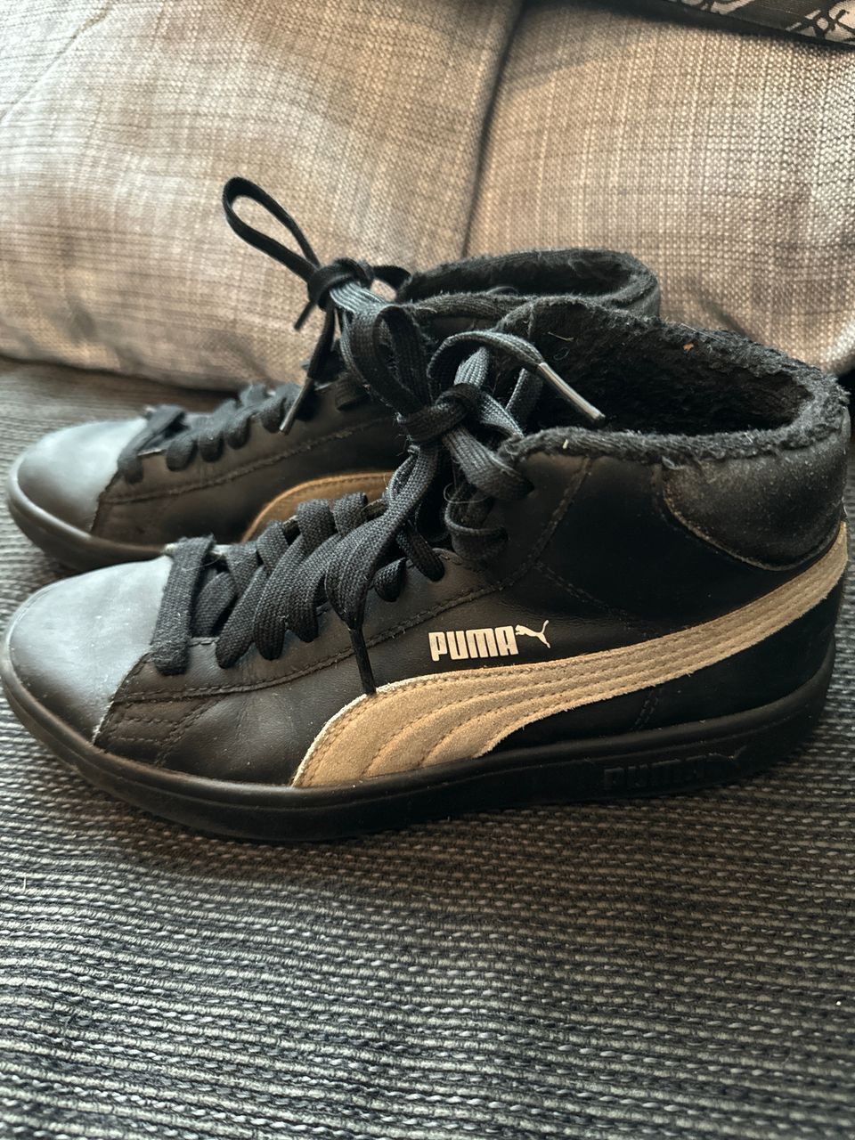 Puma 37