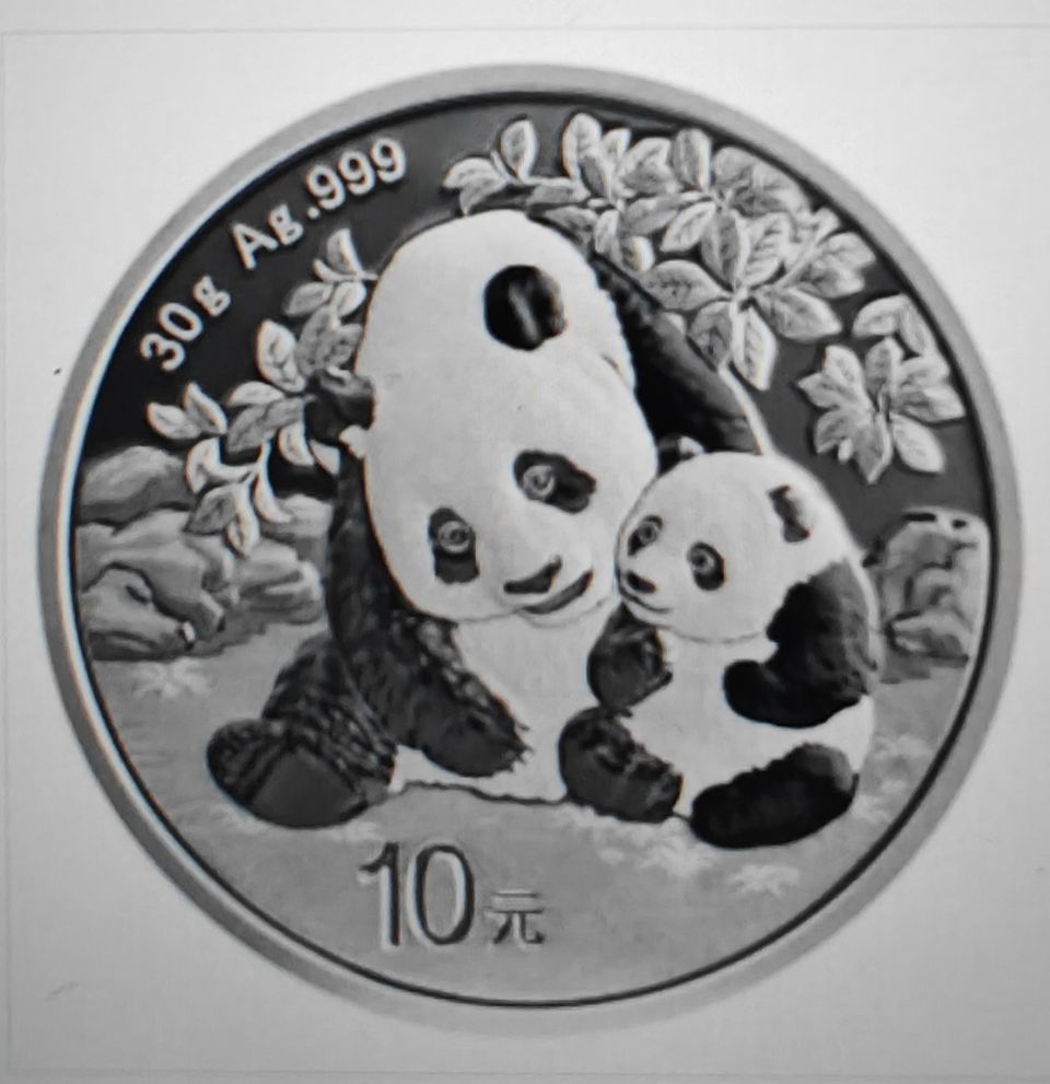 2024 30g ¥10 CNY Chinese Silver Panda Coin (In Capsule)