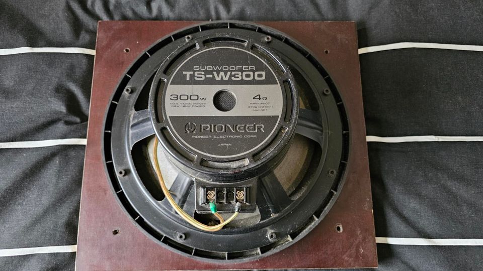 Pioneer TS-W300 subwoofer