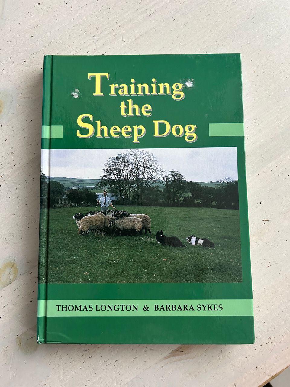 Training the sheep dog