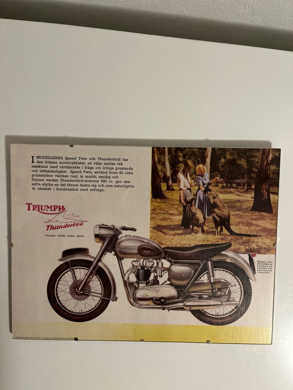 Taulu-Triumph Thunderbird 650 cc.