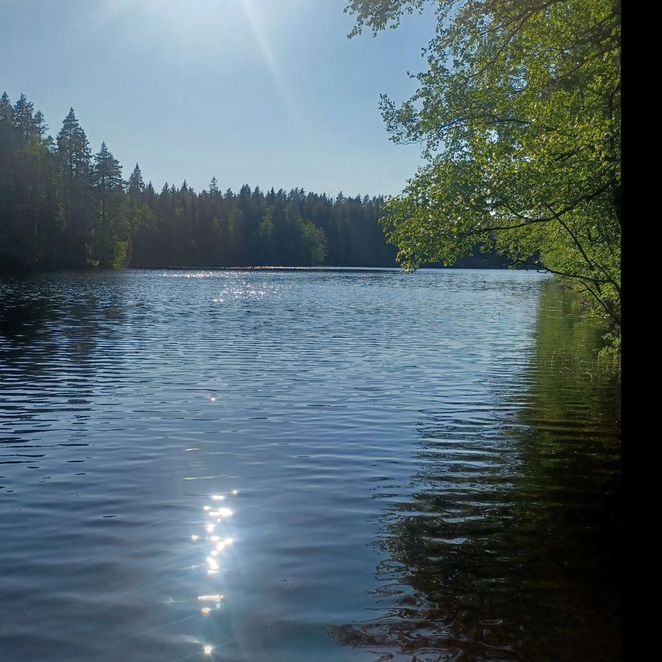 Käännöstyöt ja tulkkaus ruotsi-suomi