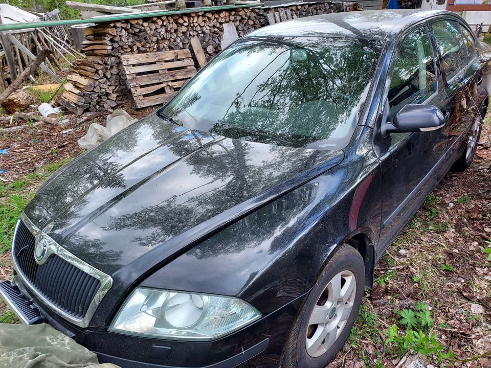 Skoda Octavia 2007 osina