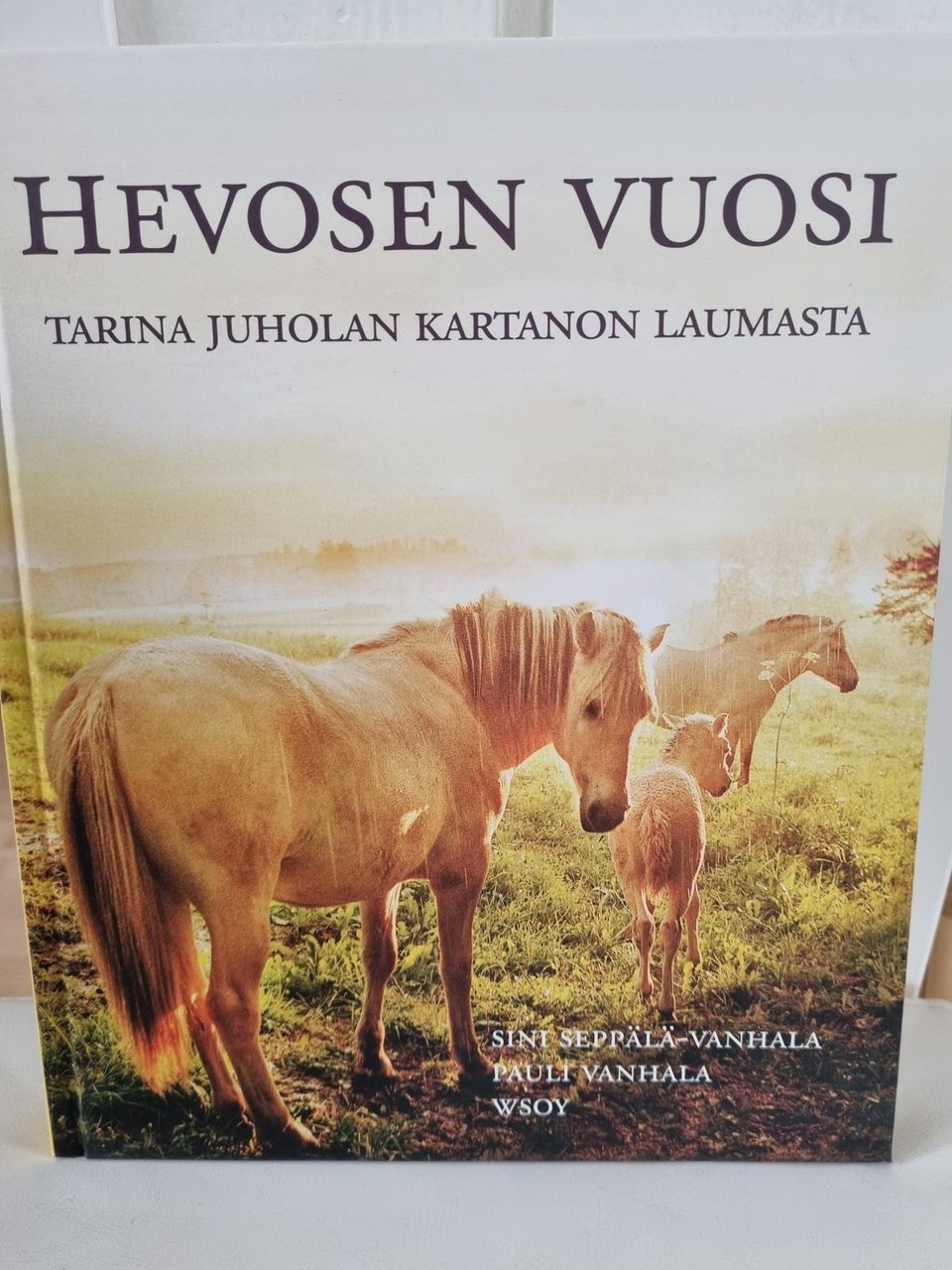 Hevosen vuosi - tarina Juholan kartanon laumasta.
