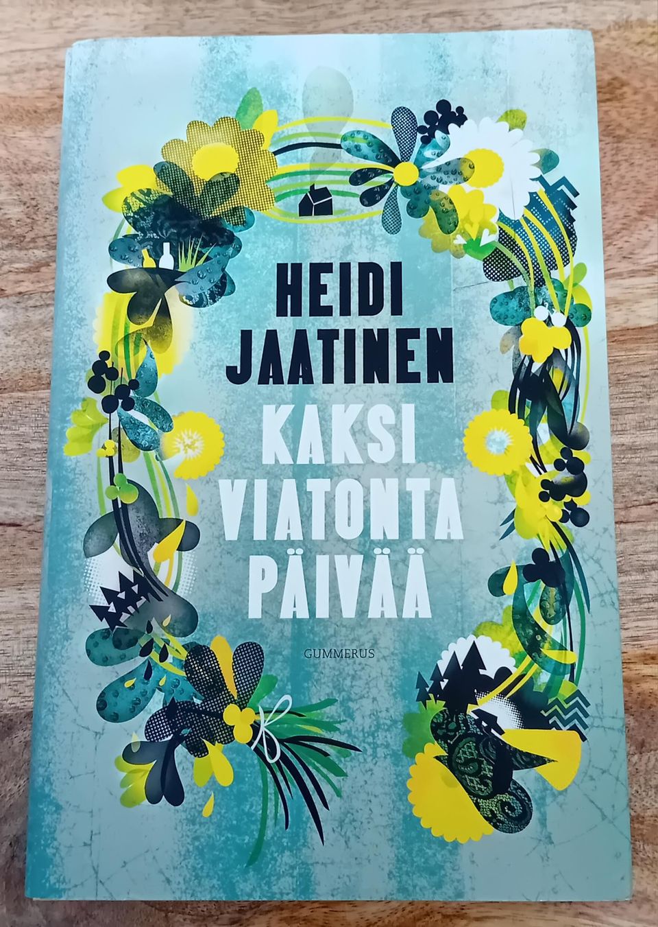 Heidi Jaatinen - Kaksi viatonta päivää