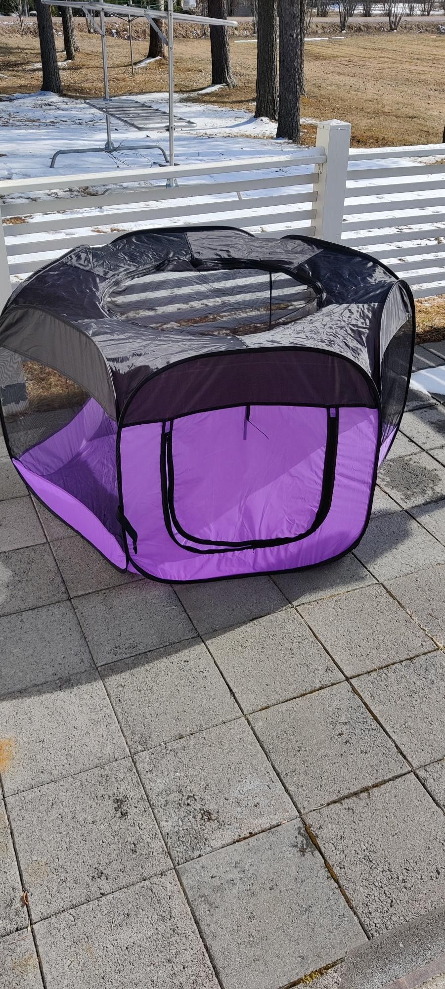 Lemmikin teltta
