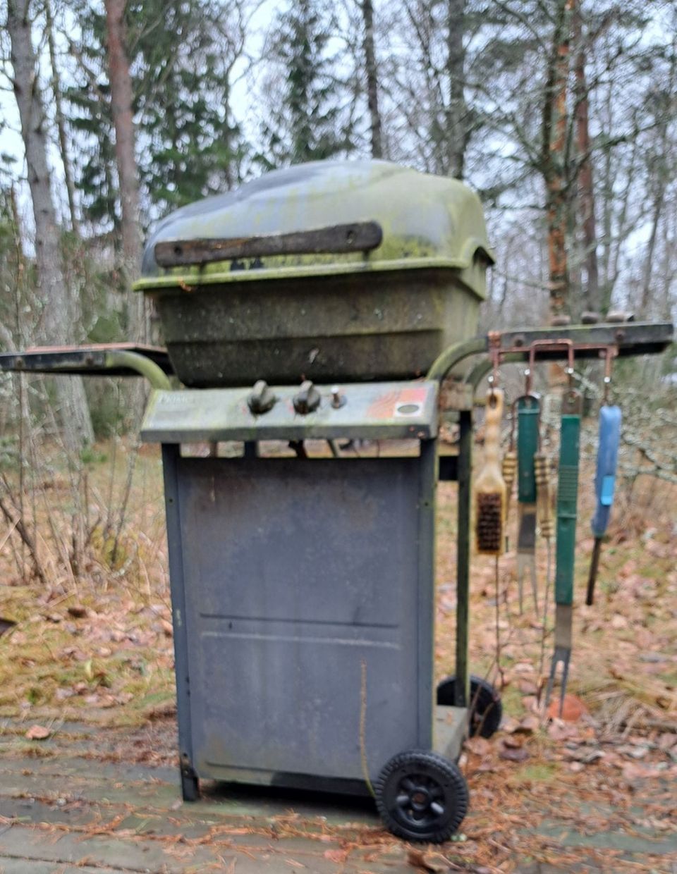 Kaasugrilli ja veneen rantakärryn akseli