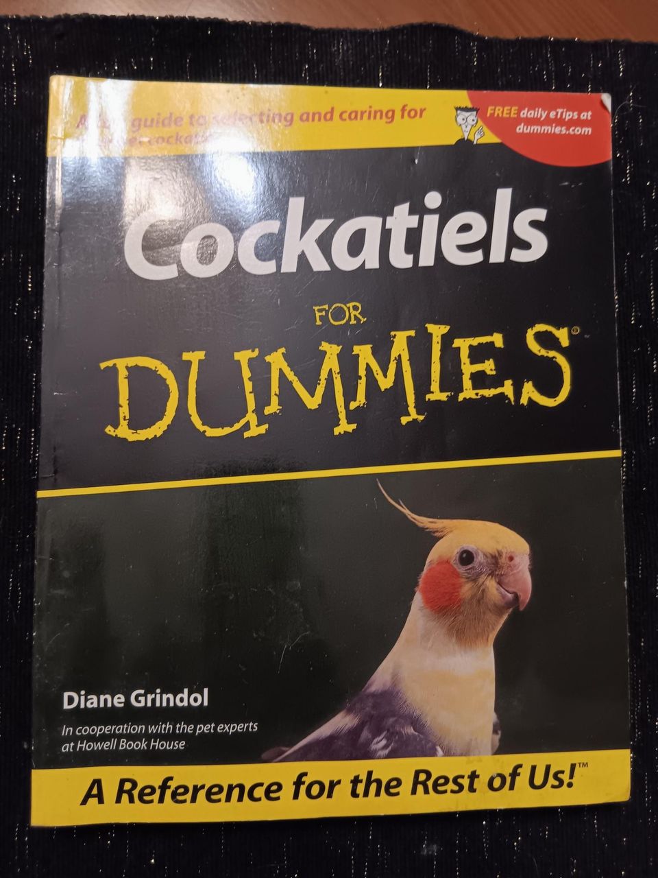 Cockatiels for dummies