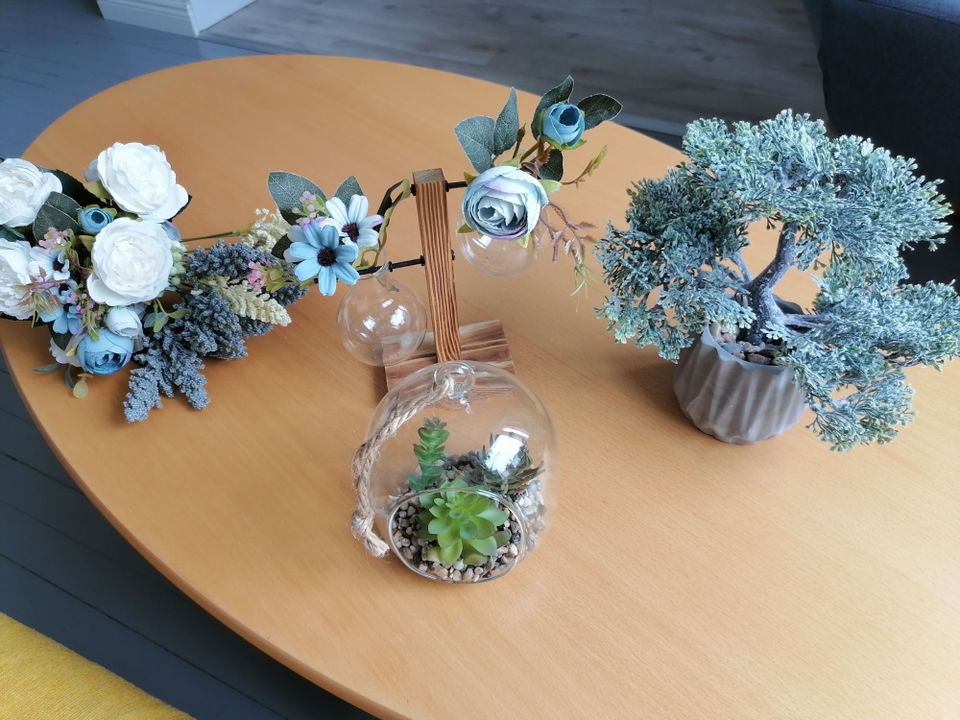 Decorative plants (teko kasvi)