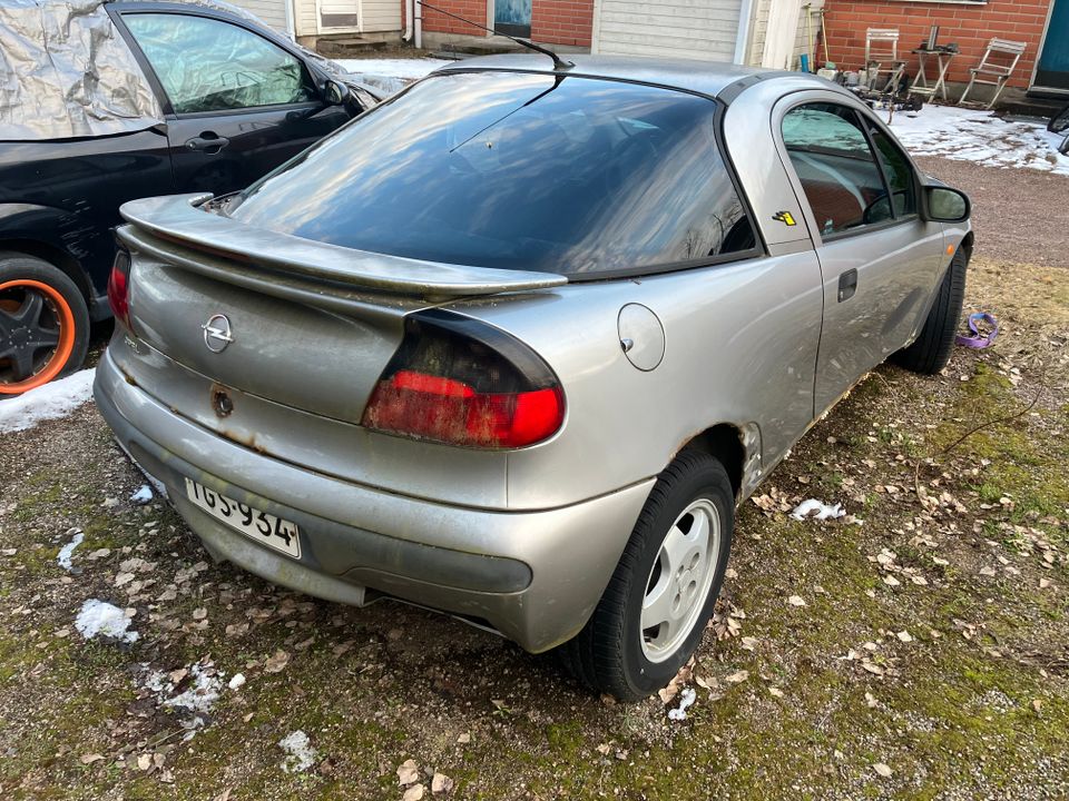 Opel Tigra osina