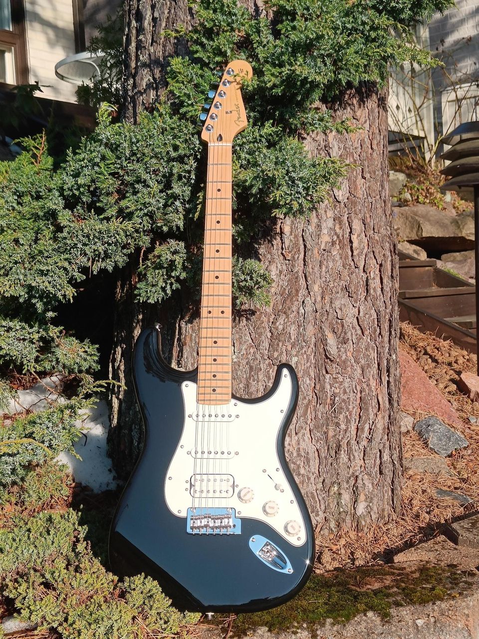 Fender player series HSS stratocaster