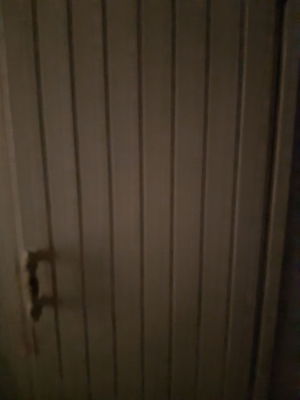 Kylpyhuoneen puinen ovi