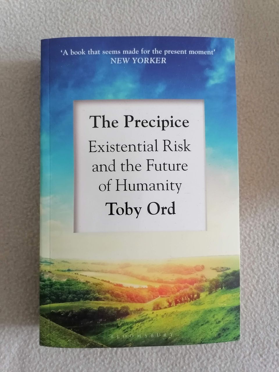 The Precipice by Toby Ord book