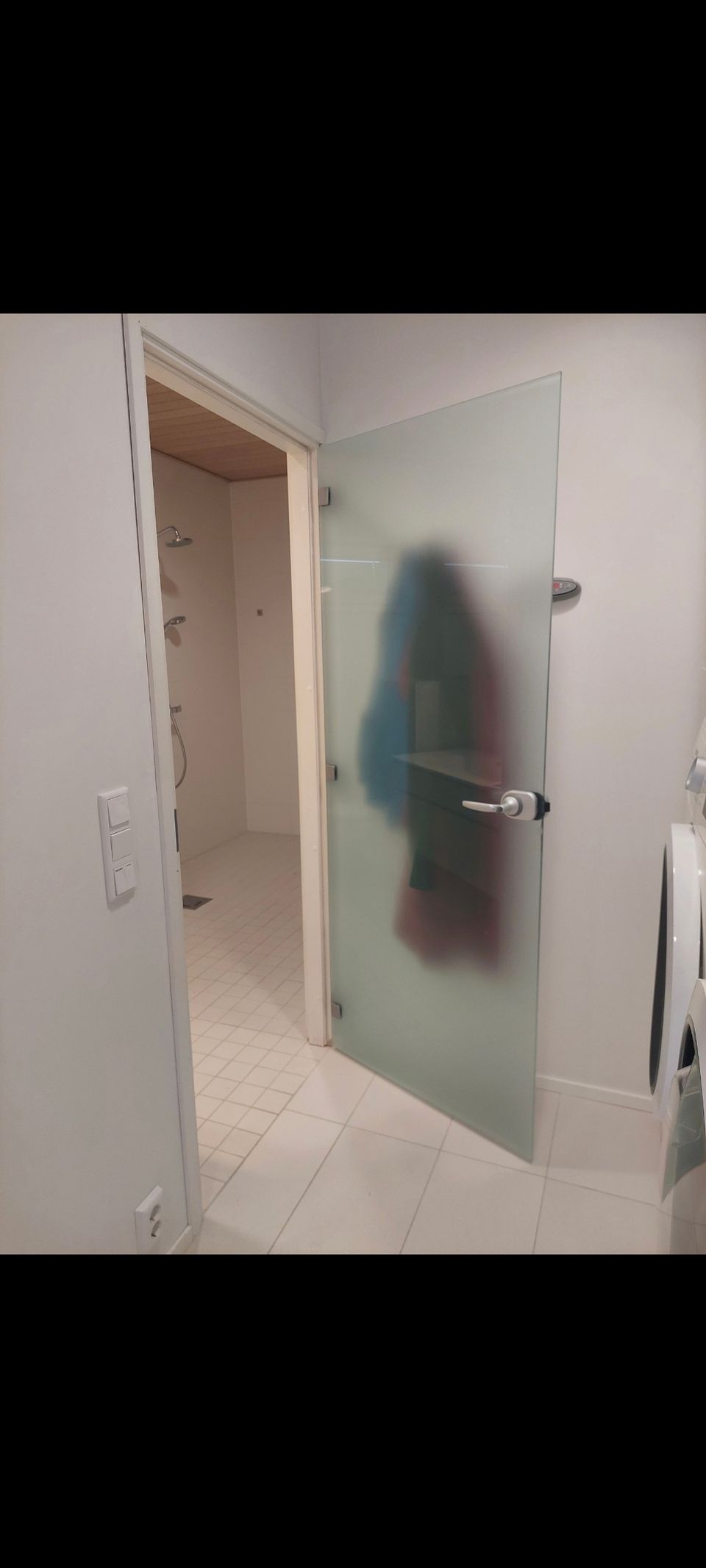 Kostean tilan ovi - lasi ovi kylpyhuone 80cm