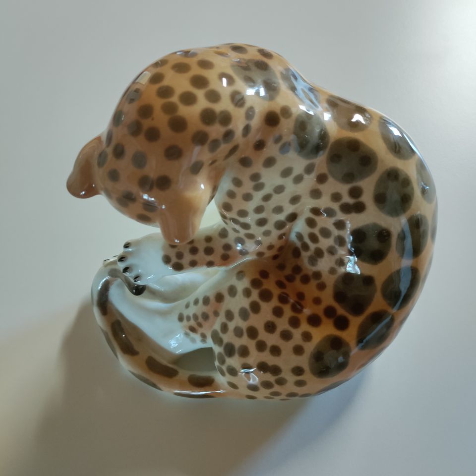 Lomonosov leopardi