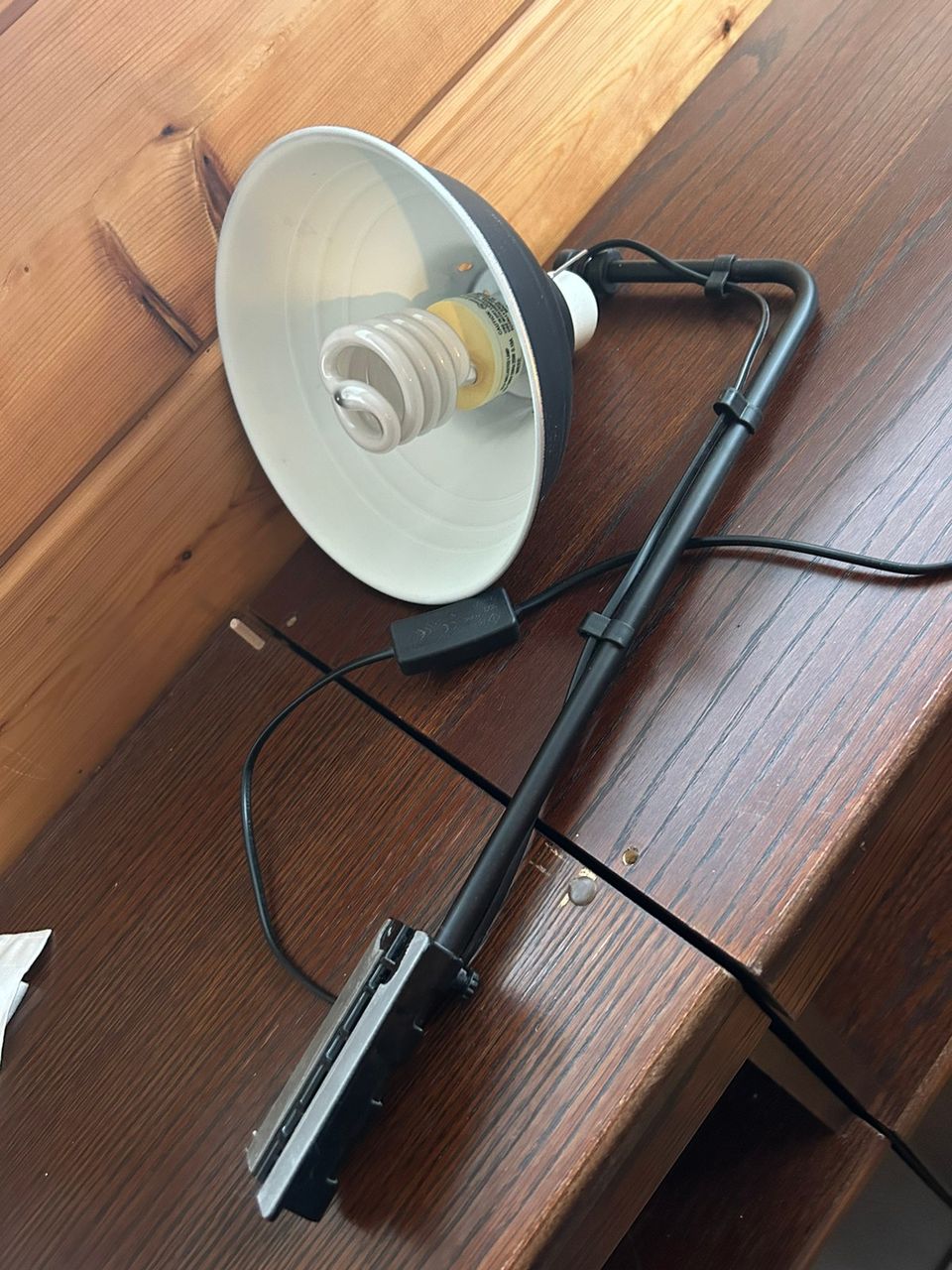 Terraarion lamppu