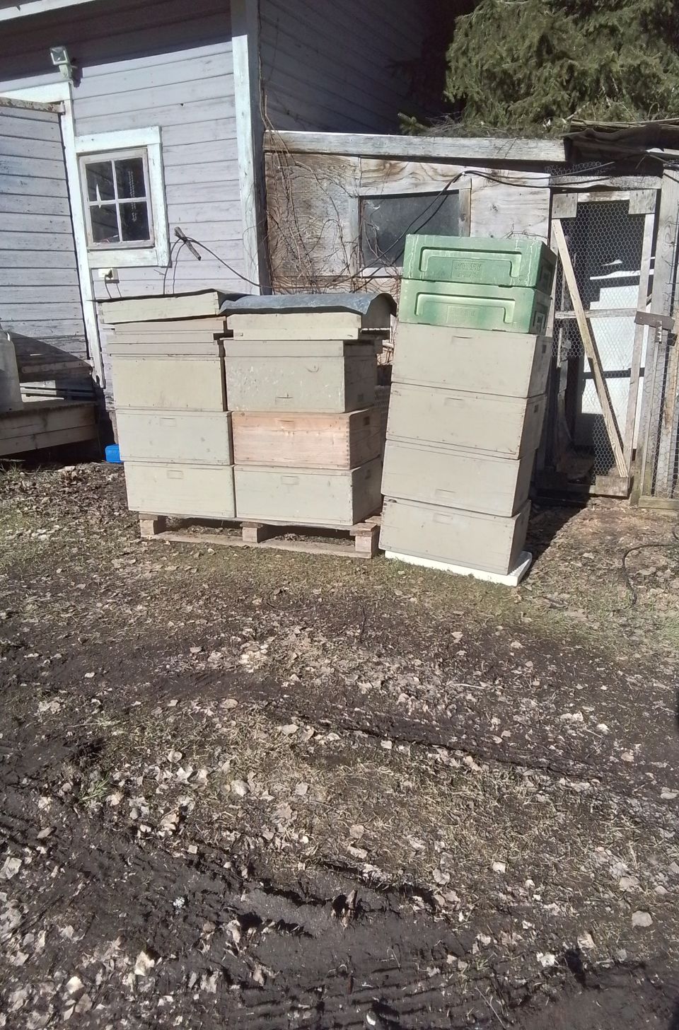 Langstroth-mehiläislaatikoita, TARJOA