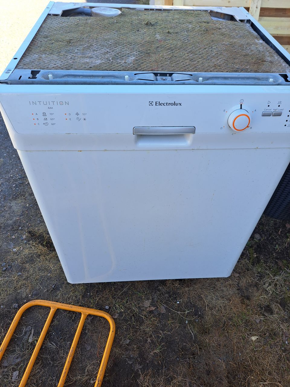Electrolux Intuition astianpesukone