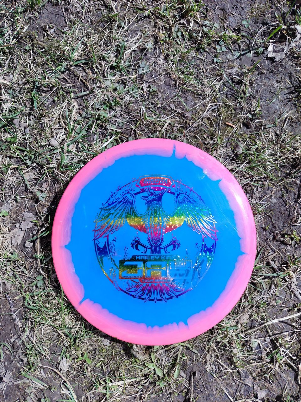 Frisbeegolf