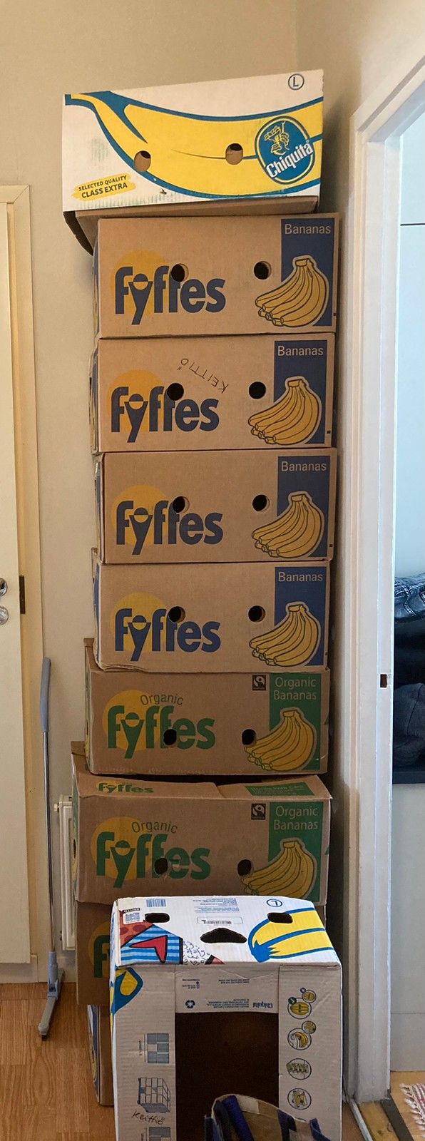 Banaanilaatikoita 10 kpl