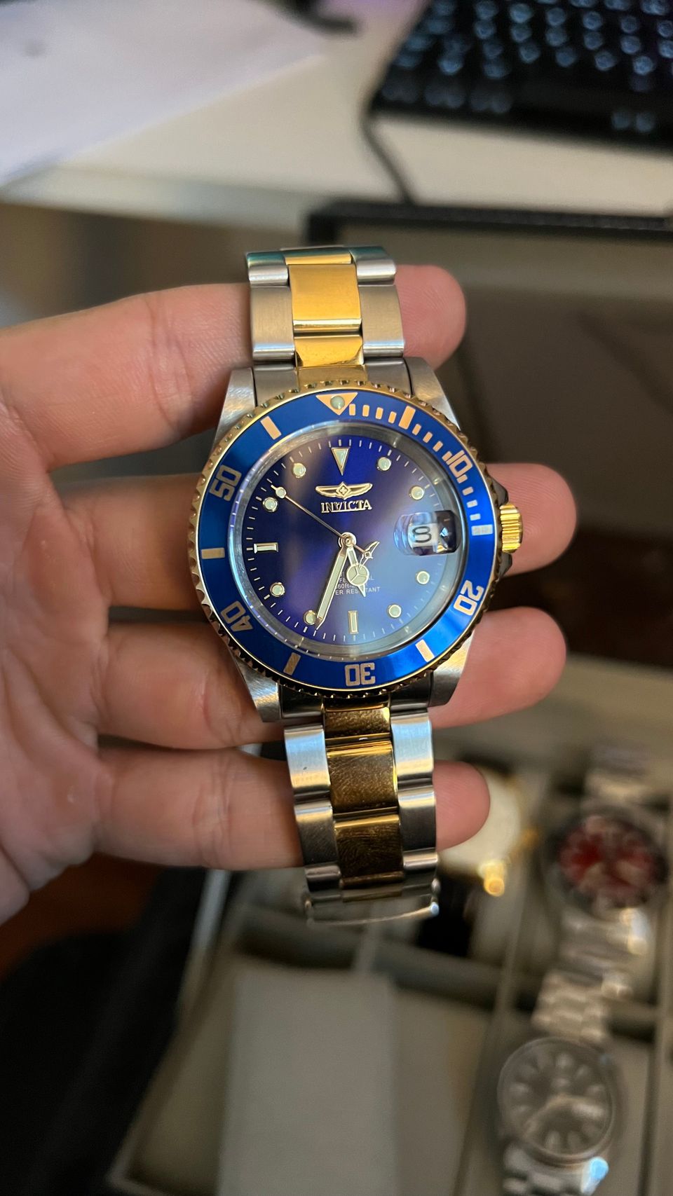 Invicta Pro Diver