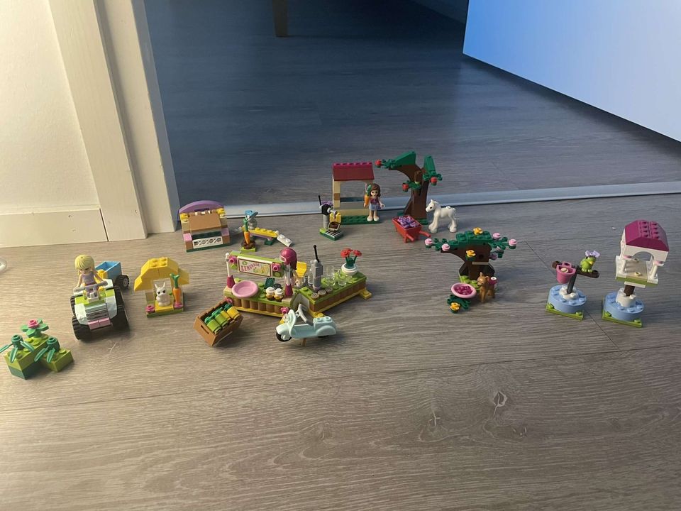 Erilaisia Lego Friends settejä