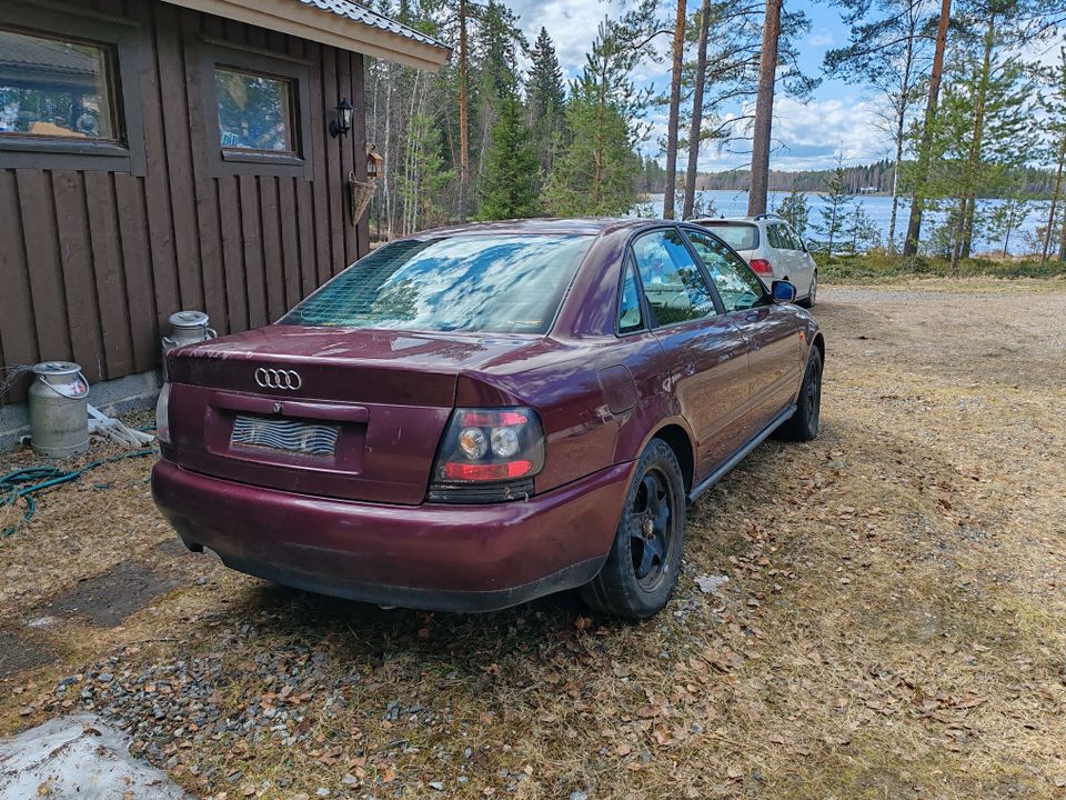 Audi A4 b5 osina