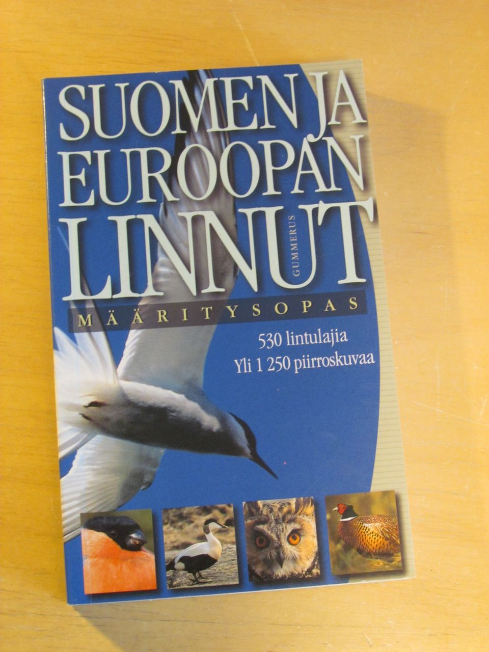 Suomen ja Euroopan linnut, määrittelyopas, 530 lintulajia, yli 250 piirroskuvaa