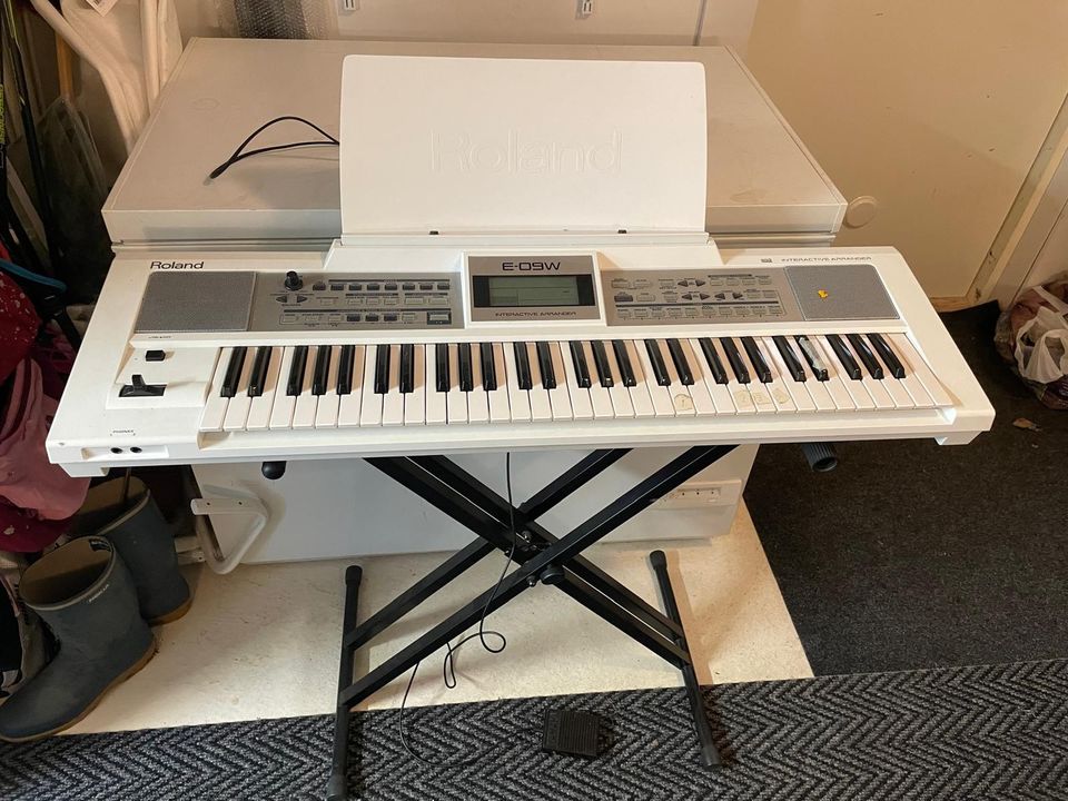 Roland E-09W