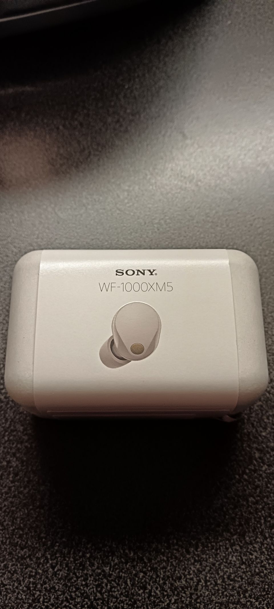 Sony WF-1000xm5