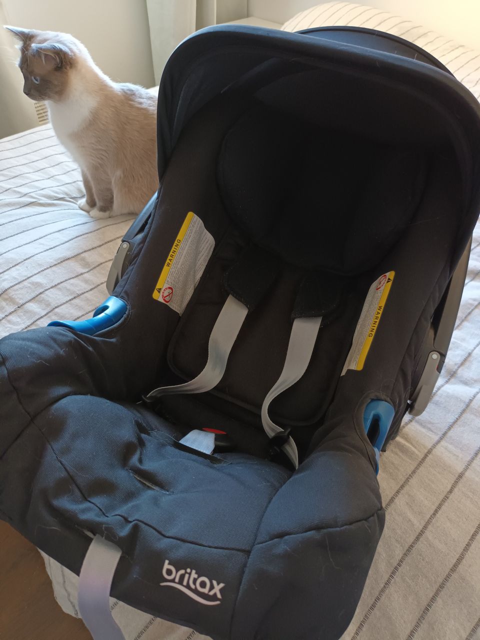 Britax turvaistuin+telakka