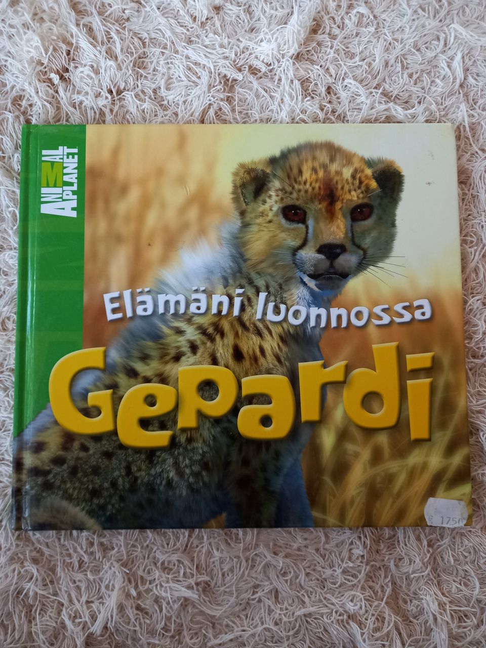 Elämäno luonnossa Gepardi