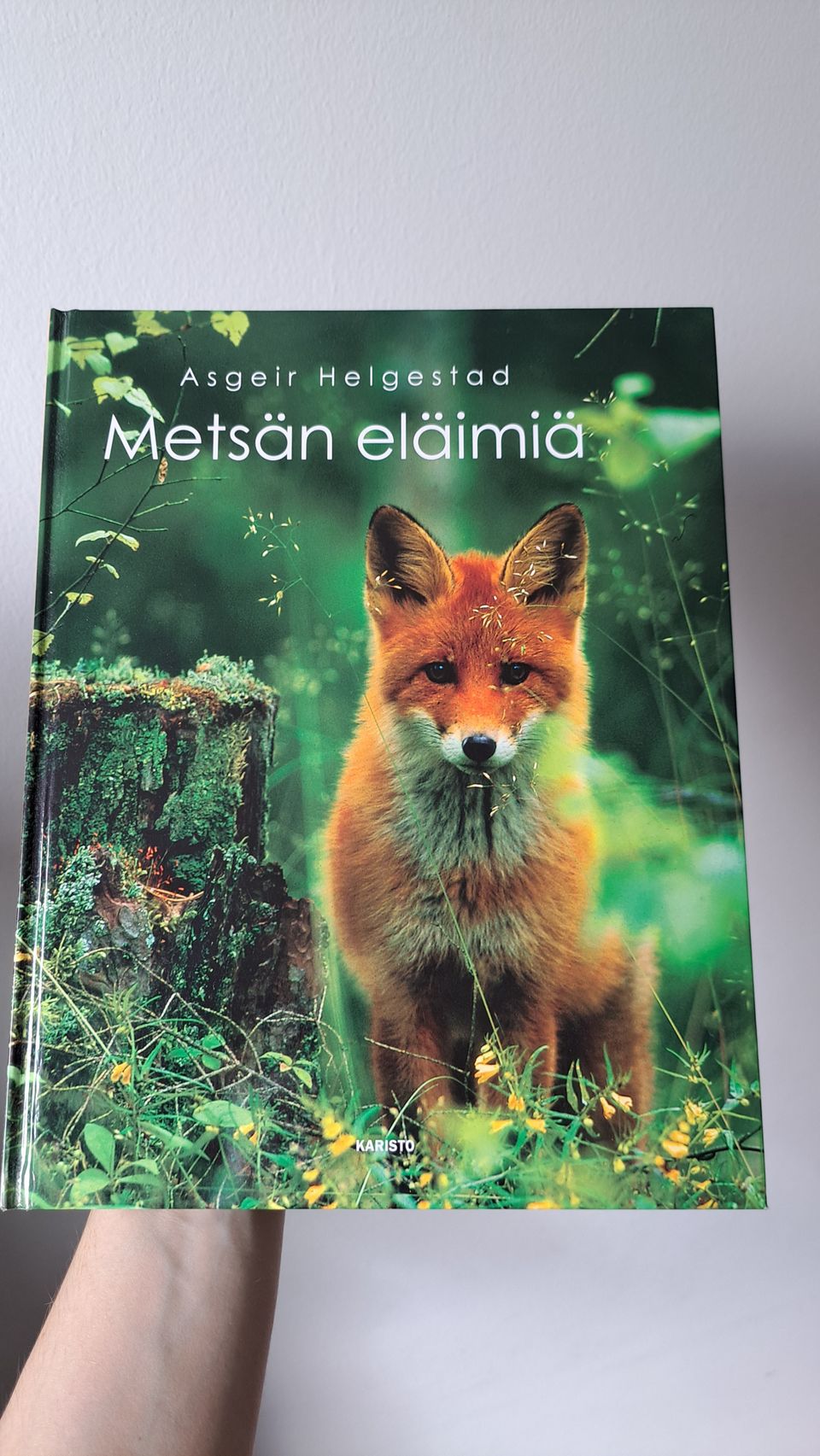 Metsän eläimiä-kirja