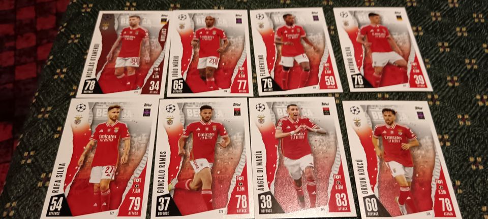 Match Attax - 24 Benfica