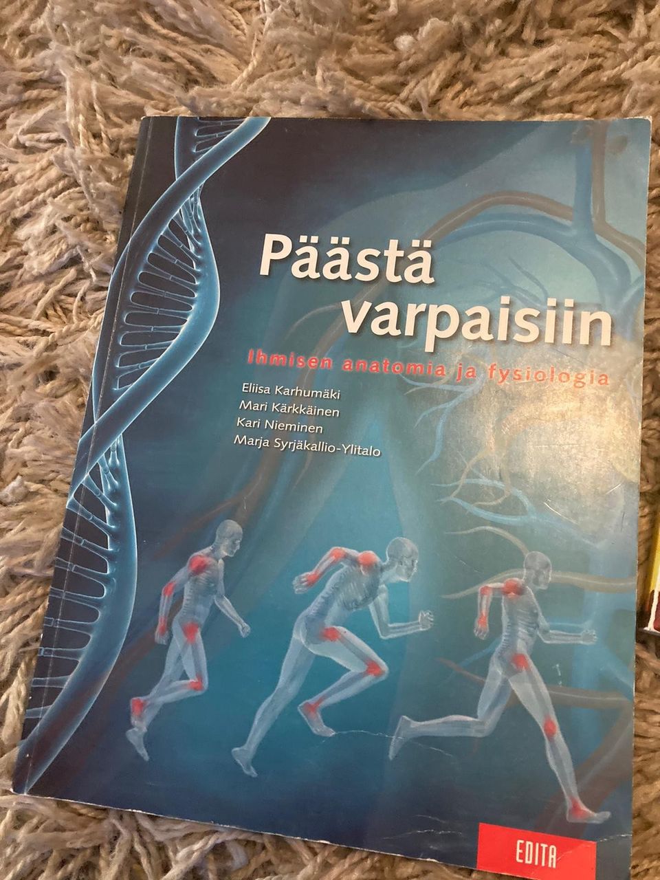 Päästä varpaisiin