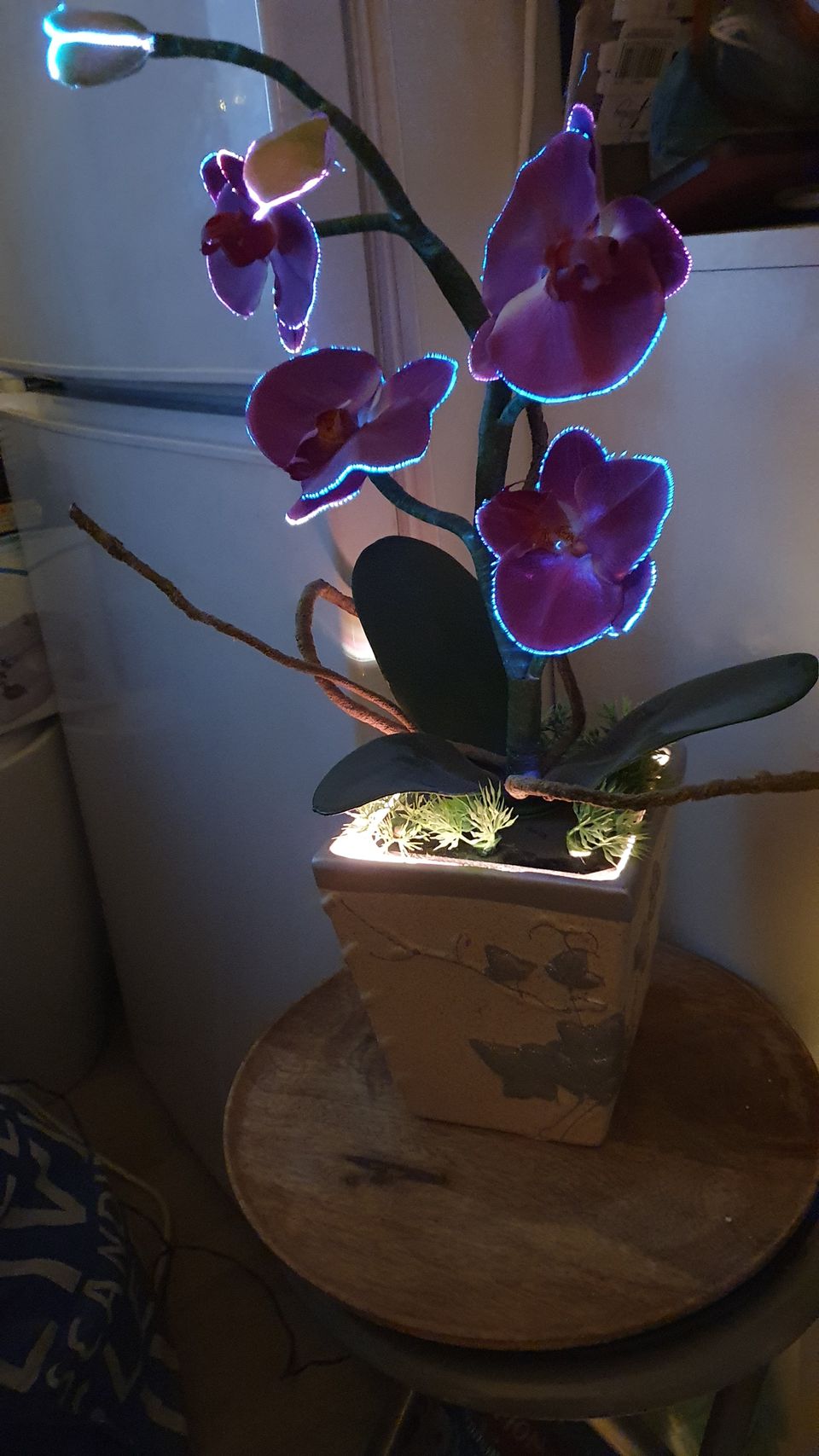 Valokuitu orkidea vaihtaa väriä kaunis.Toimiva.