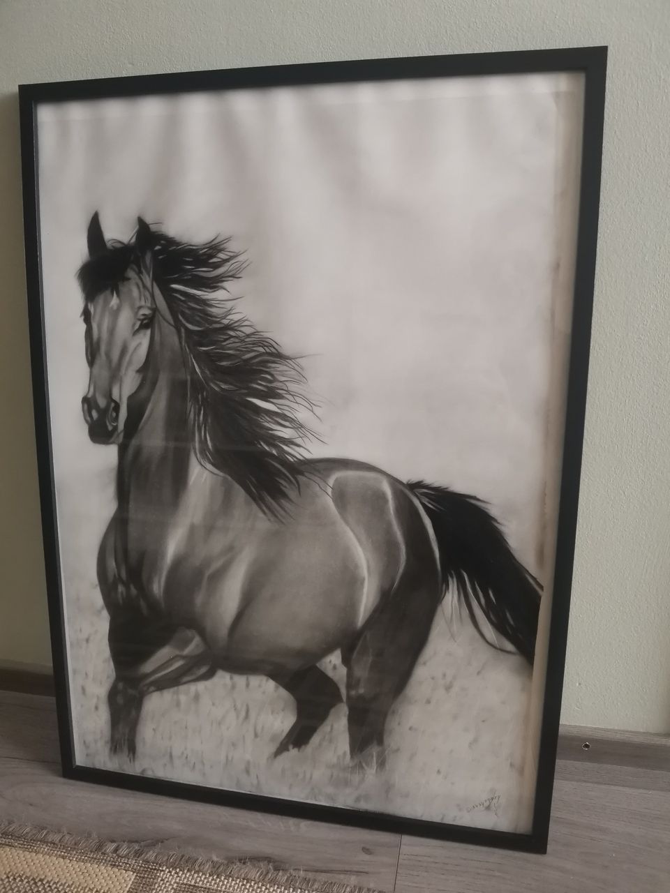 Hevonen kuva