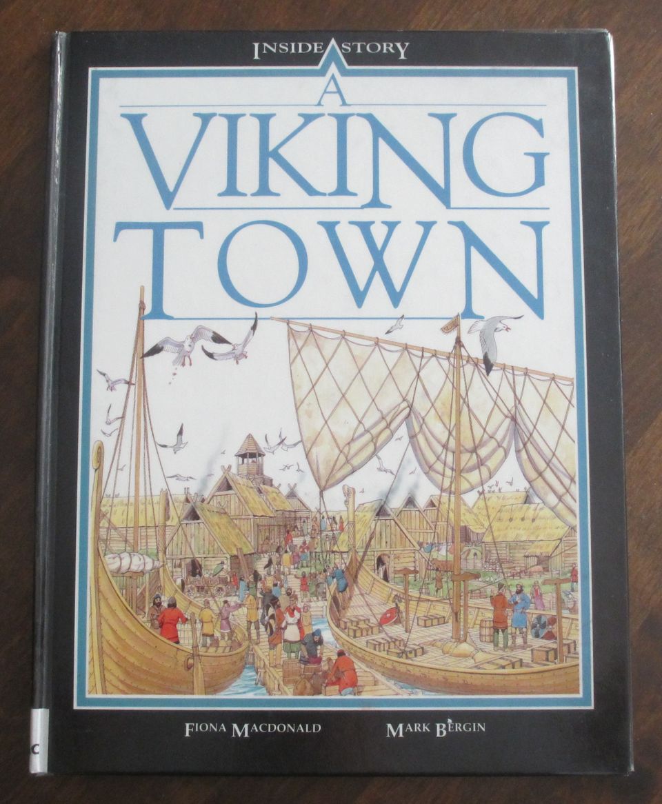 Fiona Macdonald: A Viking Town