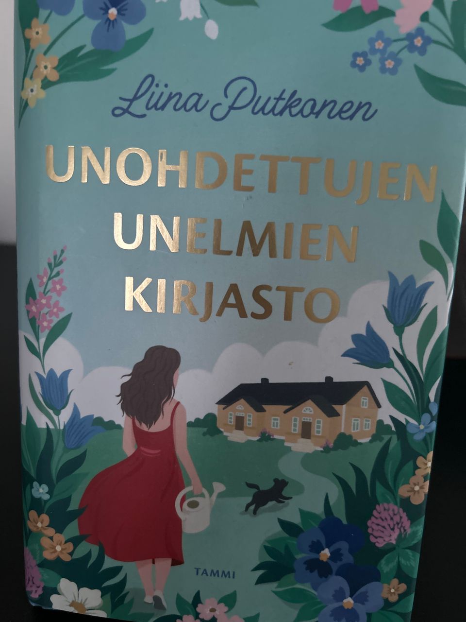 Unohdettujen unelmien kirjasto kirja