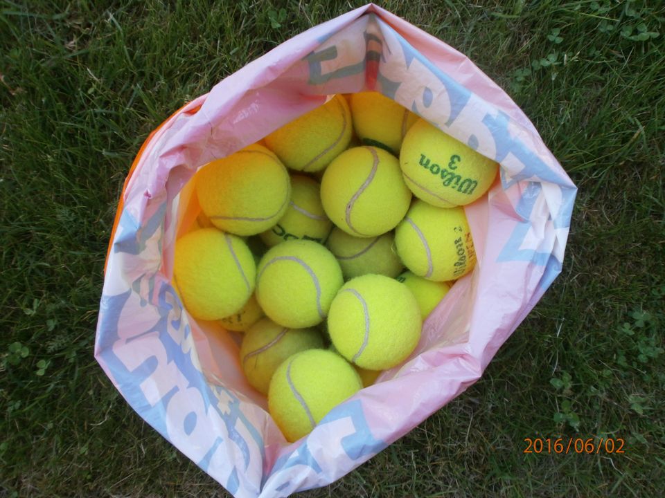 Tennispalloja koirille