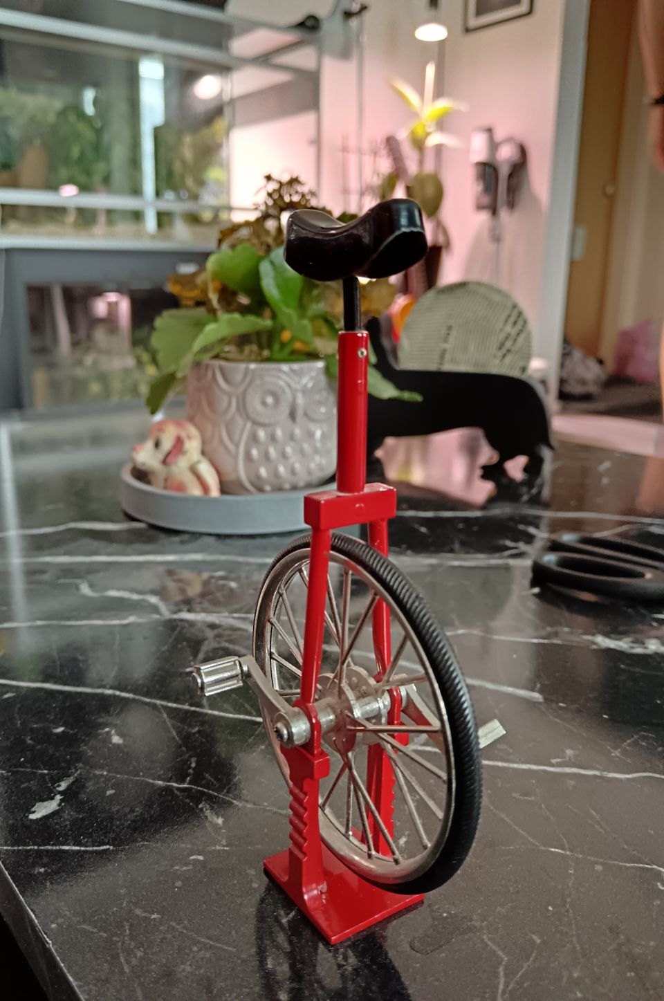 Unicycle model