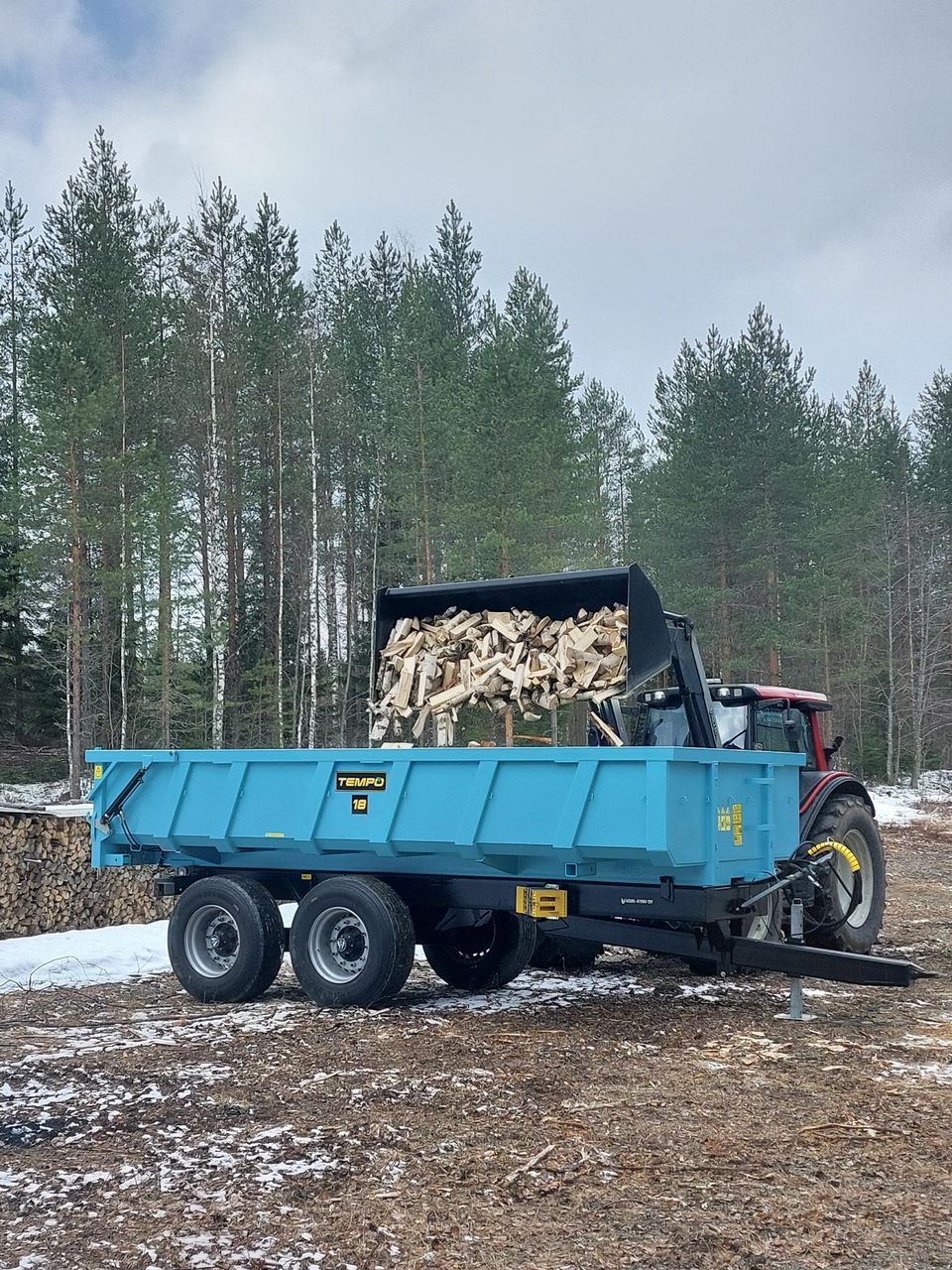 Koivuklapia ja halkoa